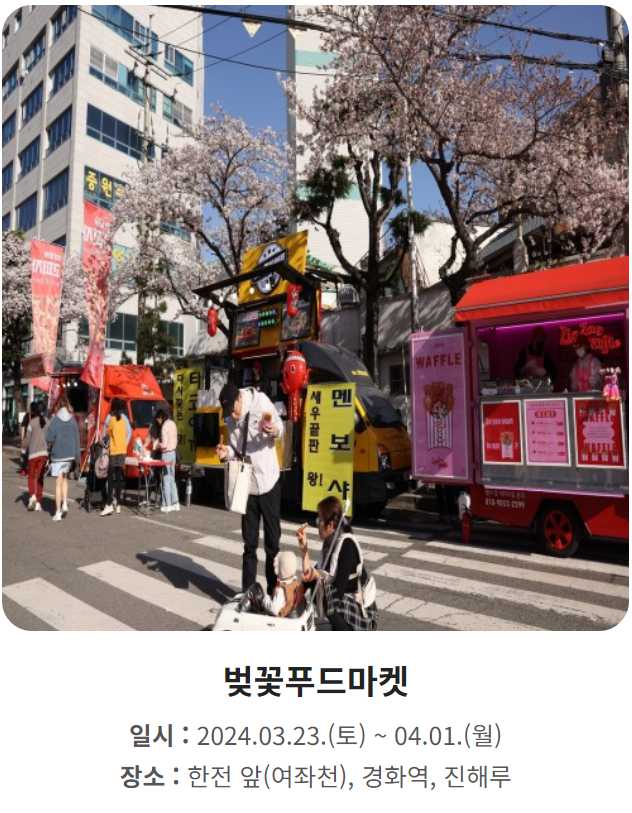 진해군항제