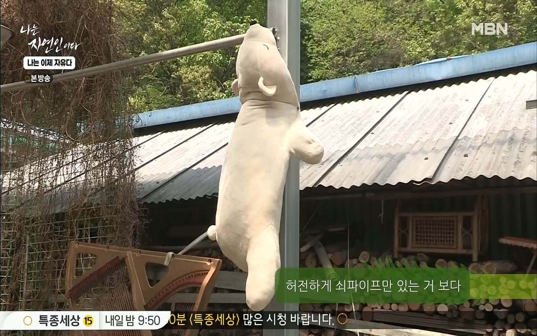 나는 자연인이다.E503.220525p.H264-F1RST.mp4_20220526_201139.011.jpg