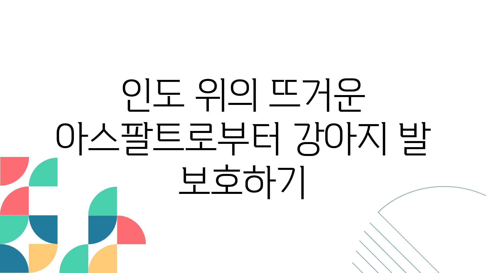 인도 위의 뜨거운 아스팔트로부터 강아지 발 보호하기