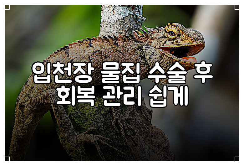입천장 물집 수술 후 회복 관리 쉽게