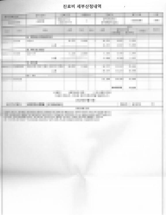 진료비 세부 내역서 예시 사진