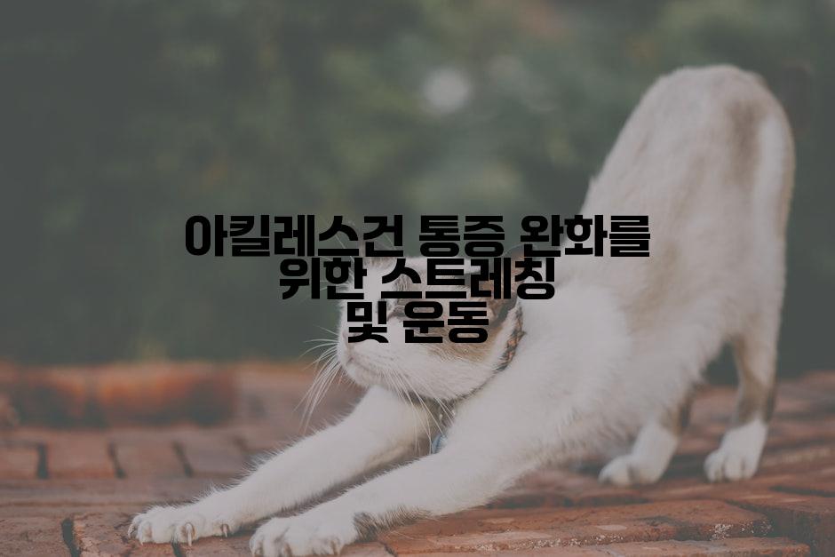 아킬레스건 통증 완화를 위한 스트레칭 및 운동