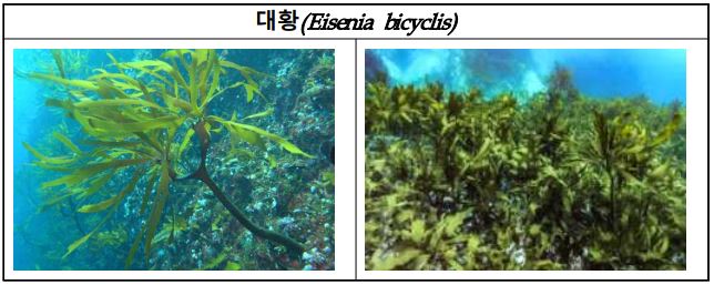 5월의 바다 이야기