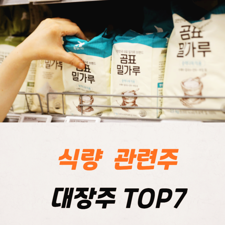 식량 관련주 대장주 테마주 TOP5 : 밀가루