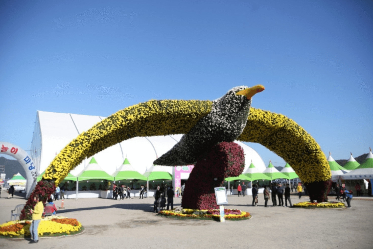 마산 국화축제