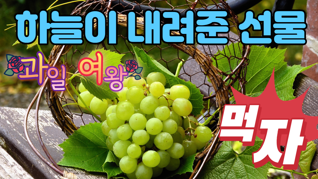  포도의 효능