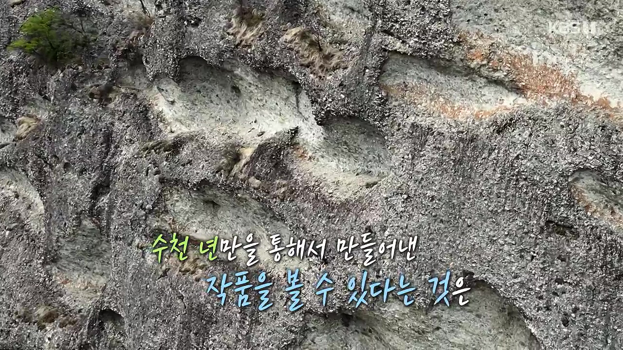다큐 온.E215.230917p-NEXT.mp4_20230922_211307.171.jpg