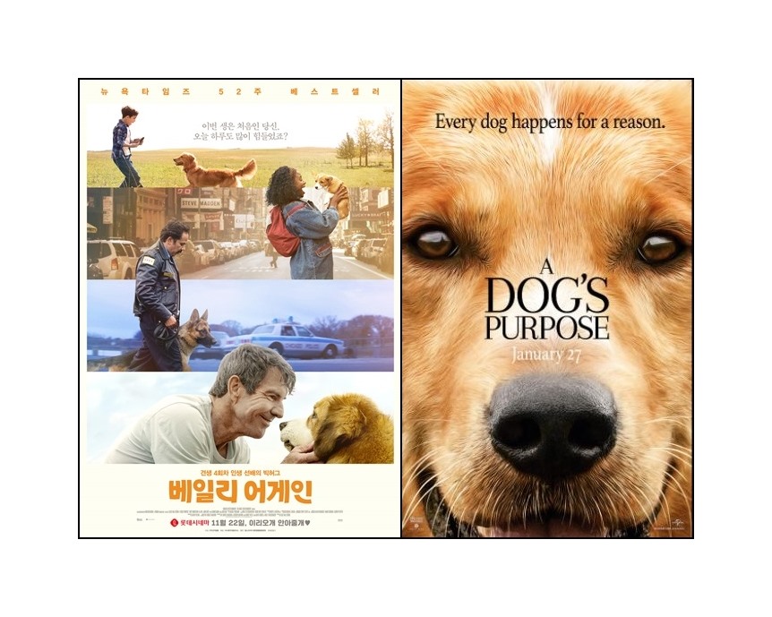  인생의 진정한 목적 '베일리 어게인'