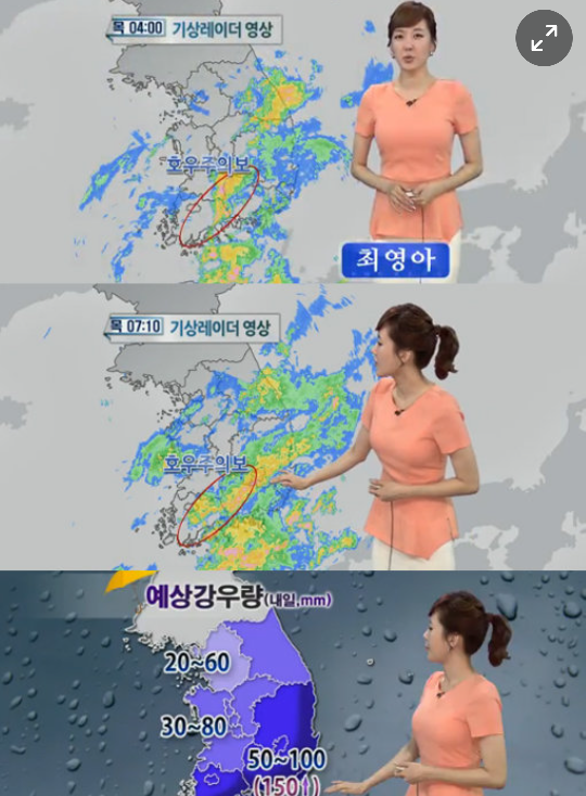  김선호, 기상캐스터 최영아의 속얘기? 최영아 17일만의 이혼한 이유?