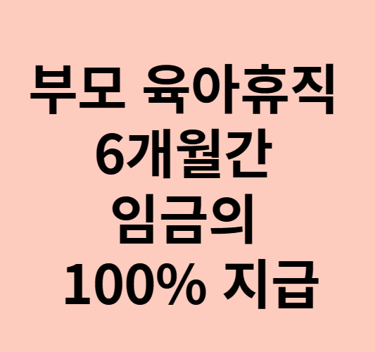 부모 육아휴직 6개월간 임금100%지급