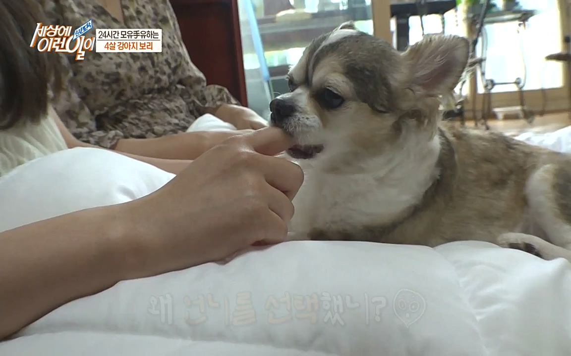 순간포착 세상에 이런일이.E1183.220608p-NEXT.mp4_20220608_201633.838.jpg