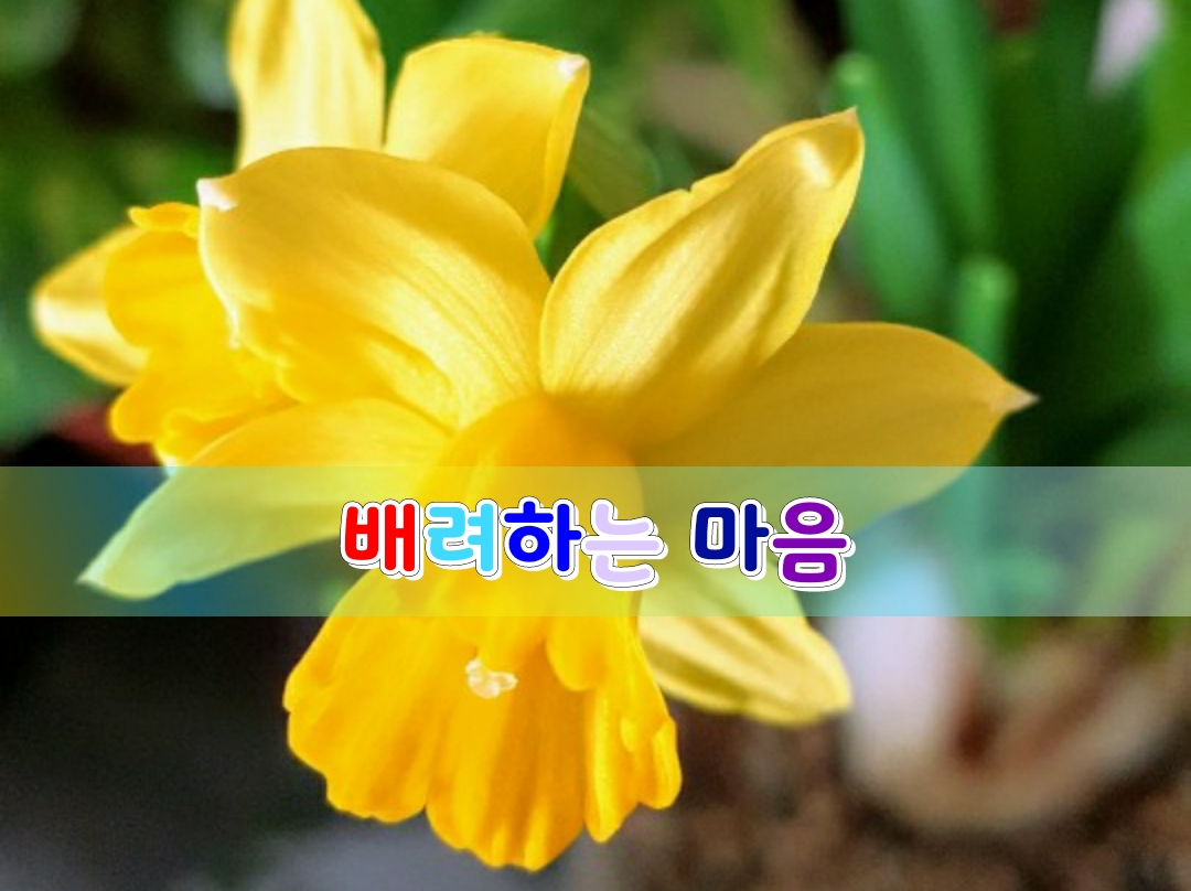  좋은글]배려하는 마음