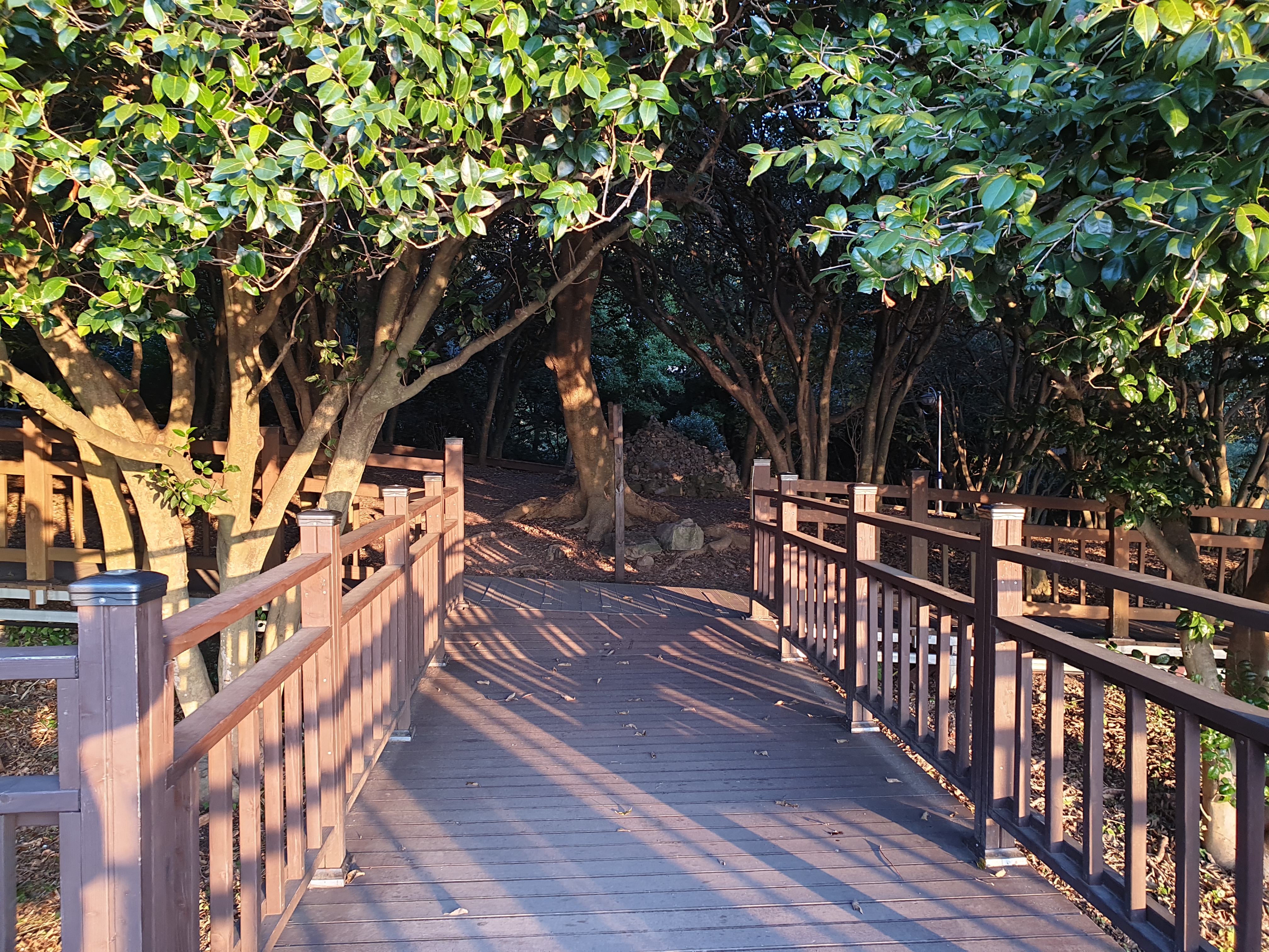 동백섬으로 유명한 여수 오동도