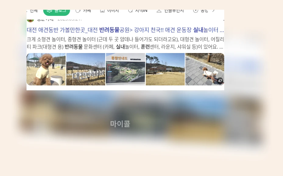 반려동물 실내 훈련_1_subsection