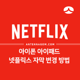  아이폰 아이패드에서 넷플릭스 자막 폰트 변경해서 보는 방법