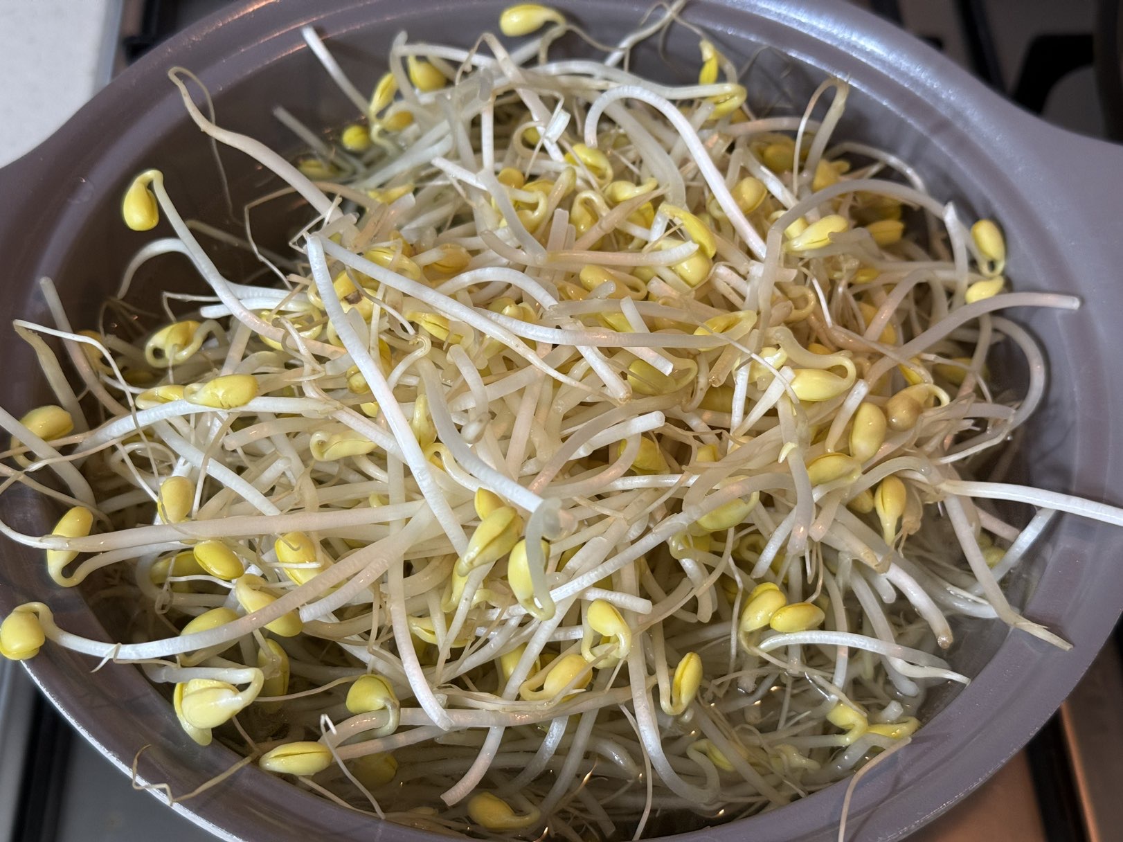 콩나물국 레시피