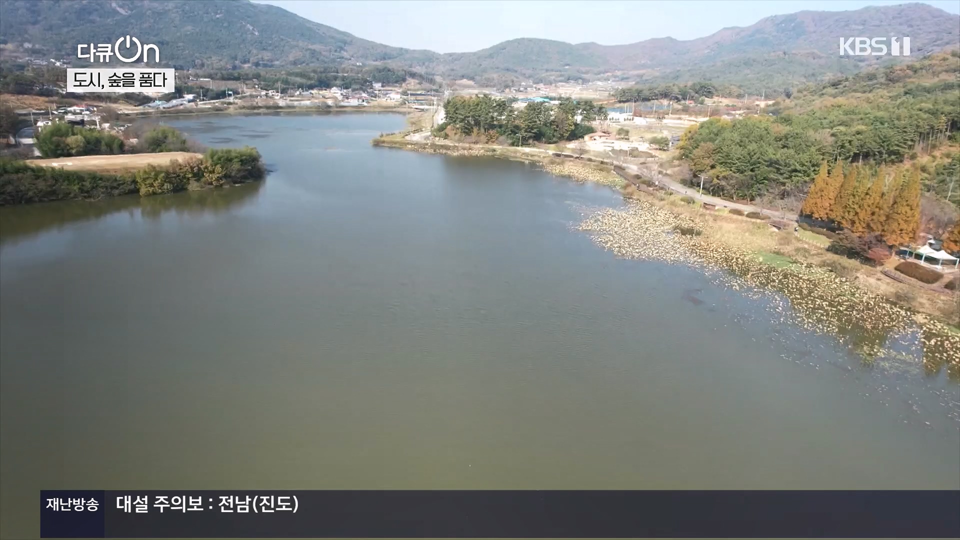 다큐 On.E232.231216p.H264-F1RST.mp4_20231220_212236.741.jpg