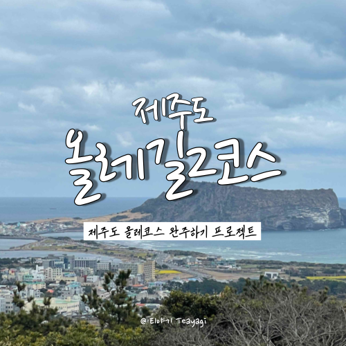  제주 트레킹 여행 | 제주도 올레길 2코스 (광치기 - 온평) 정방향 완주 후기 (feat. 1인 트레킹 비추천 코스)