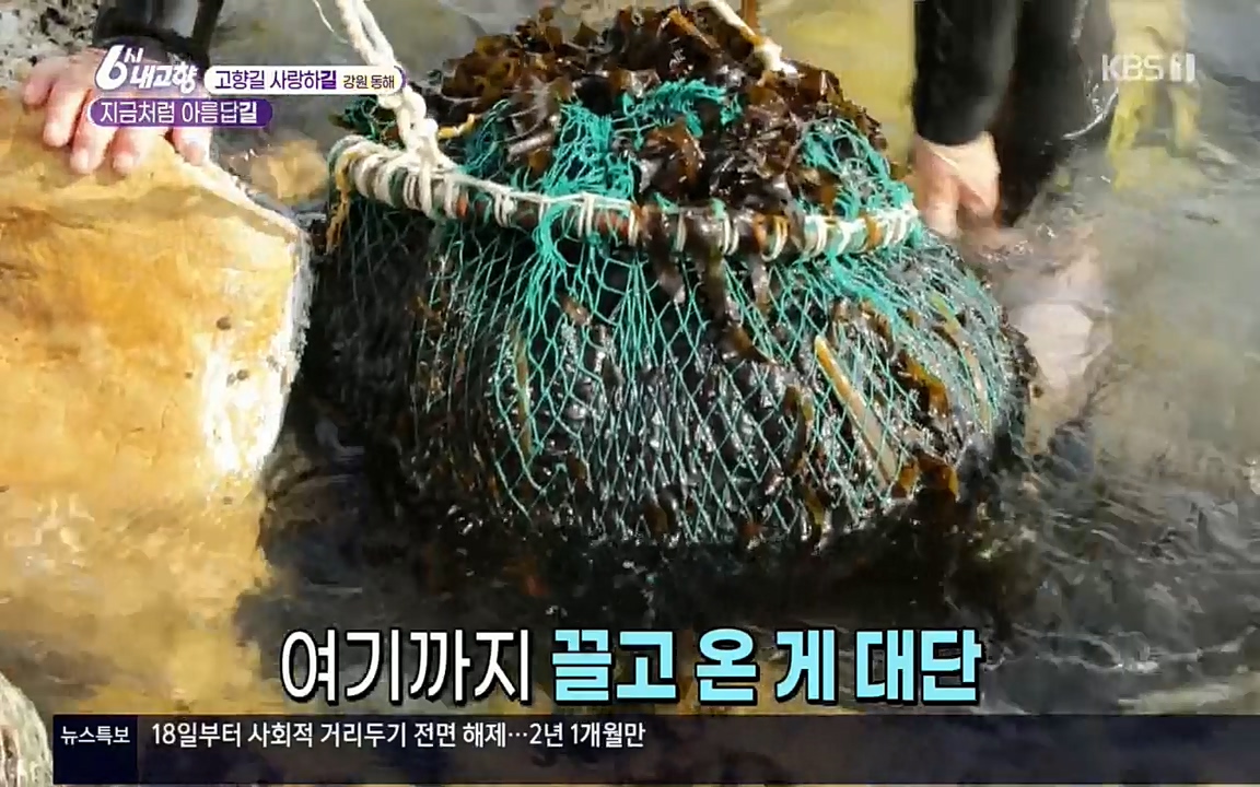 6시 내고향.E7512.220416p.H264-F1RST.mp4_20220502_191923.108.jpg