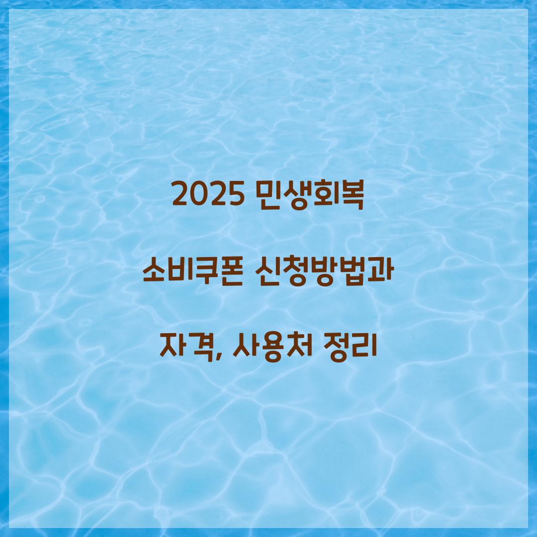 2025 민생회복 소비쿠폰 신청방법