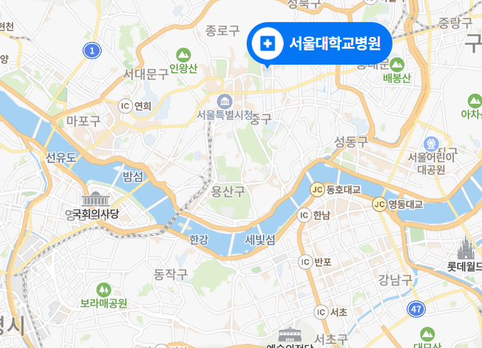 서울대병원-위치-표기한-지도