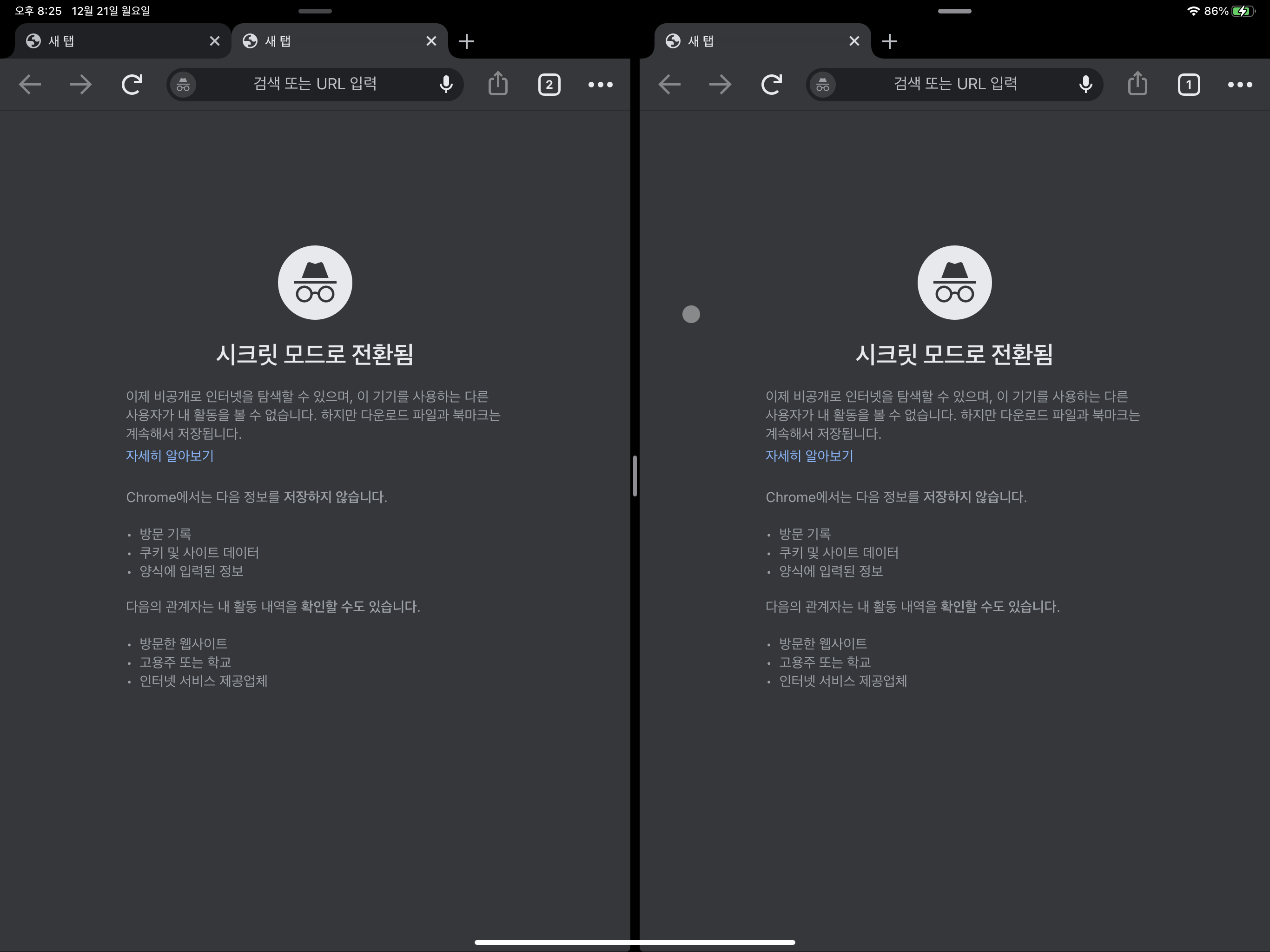  아이패드에서 크롬(Chrome) , 다중 창 사용 가능! 아이패드에서 크롬 쓴다면 꼭 확인하세요!