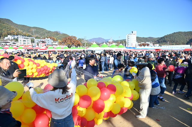 2024청송사과축제정보