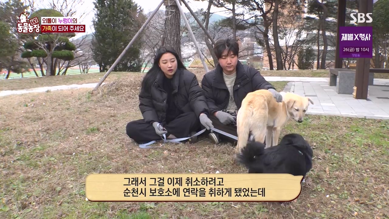 TV 동물농장.E1154.240115p-NEXT.mp4_20240114_184405.930.jpg