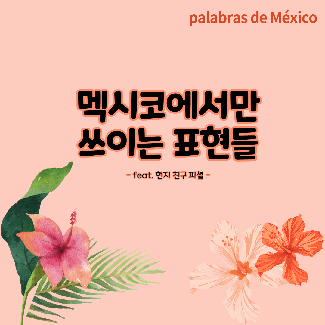  Unas palabras que se usan sólo en México [멕시코에서만 쓰이는 표현들]