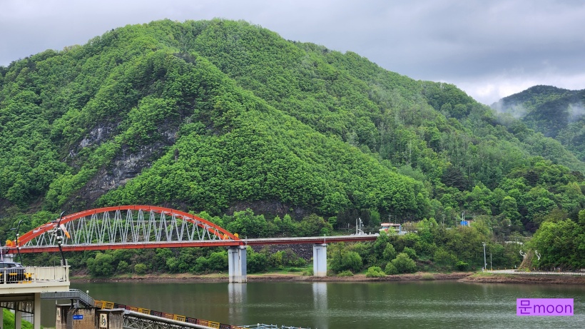 강천쏘가리 이미지