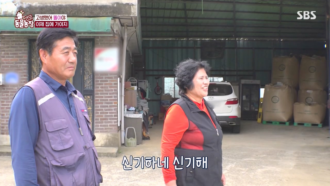 TV 동물농장.E1146.231120p-NEXT.mp4_20231119_175307.045.jpg