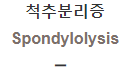  척추분리증 [Spondylolysis]