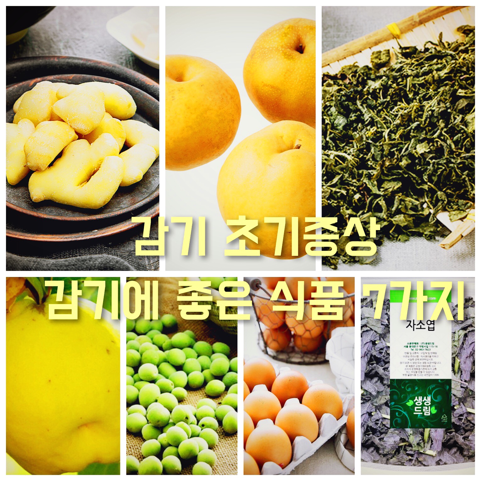  감기 초기증상 감기에 좋은 식품 7가지