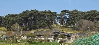 서산 가볼만한곳 베스트10 여행 놀거리 맛집_12