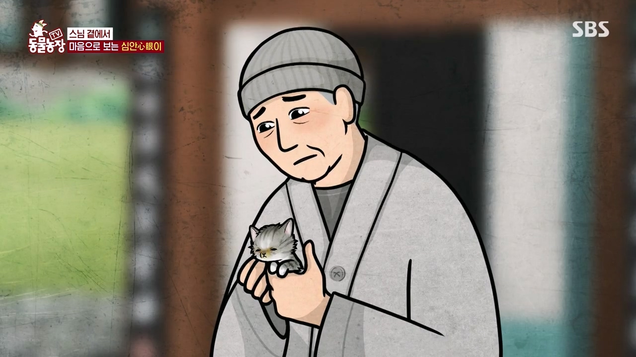 TV 동물농장.E1143.231030p-NEXT.mp4_20231029_161415.326.jpg