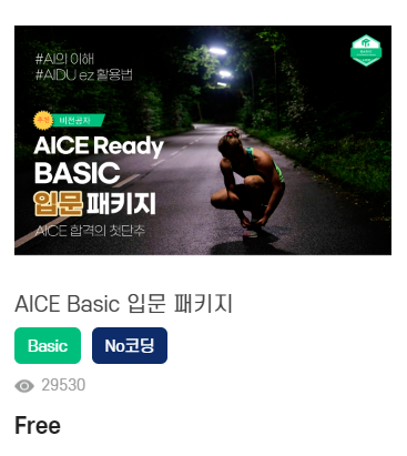 AICE 베이직 무료 교육 영상