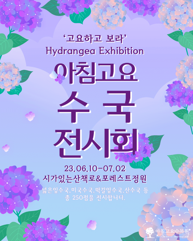 아침고요수국전시회