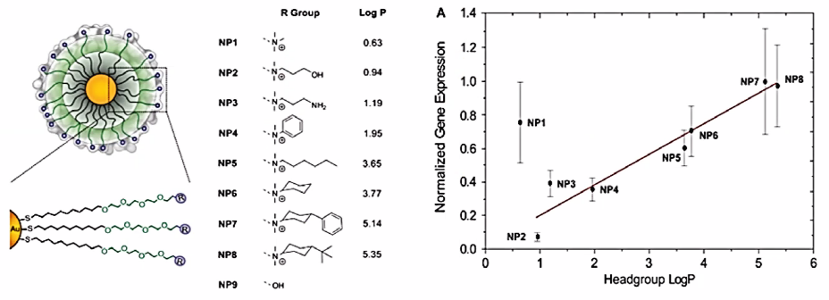 hydrophobicity of head group of PEG and TNF-alpha gene expression