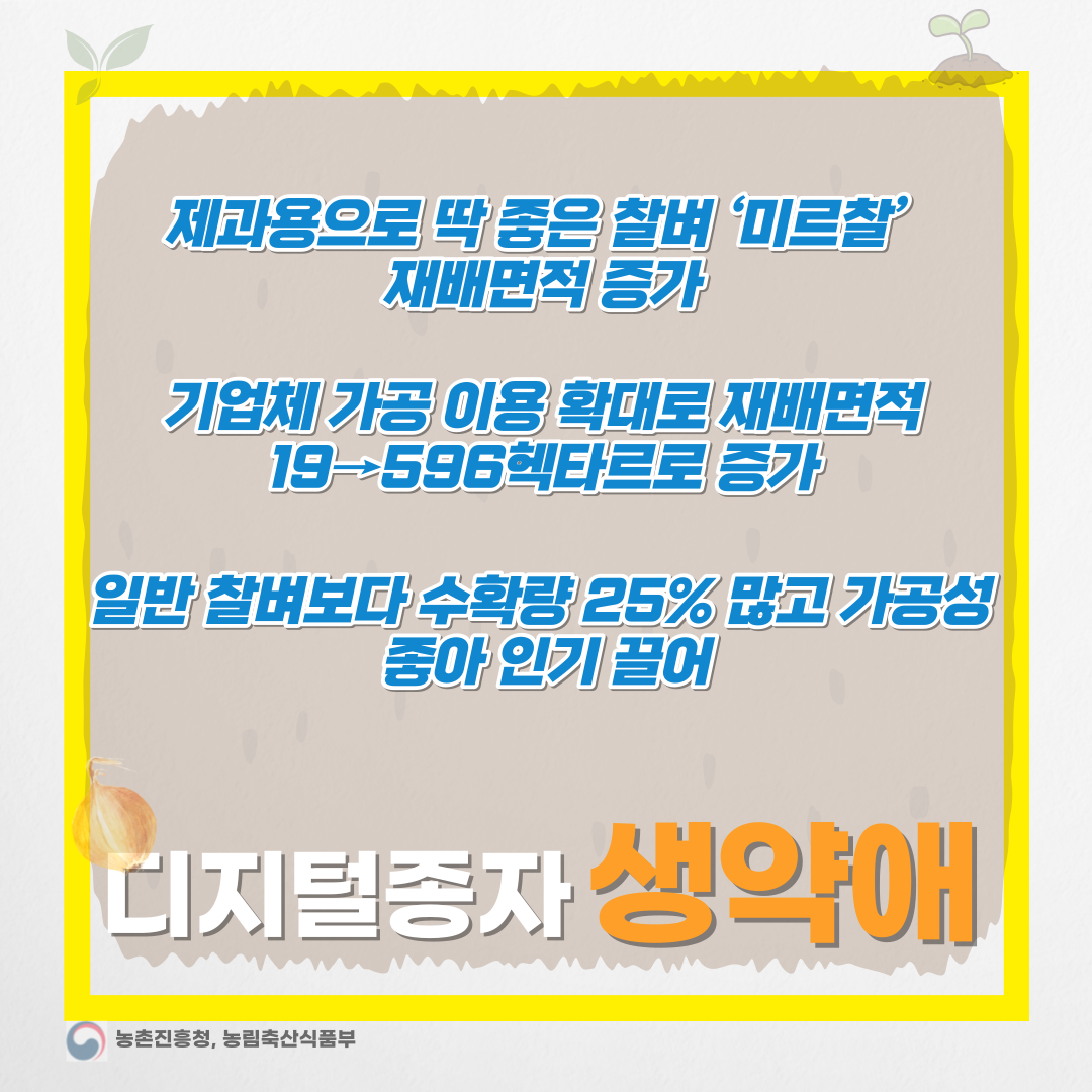  미르찰, 가공용 찰벼의 새로운 표준-디지털 종자 생약애 협동조합