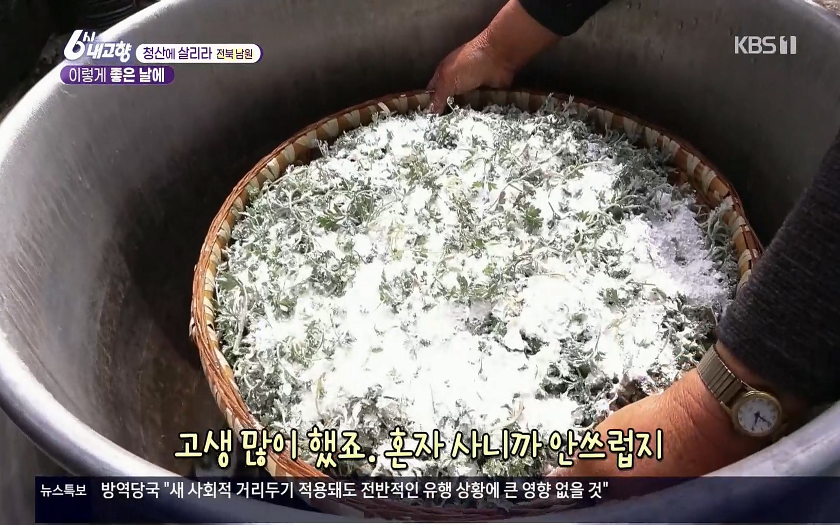6시 내고향.E7496.220324p.H264-F1RST.mp4_20220328_180929.382.jpg