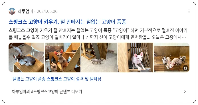 스핑크스 고양이 키우기_2_subsection