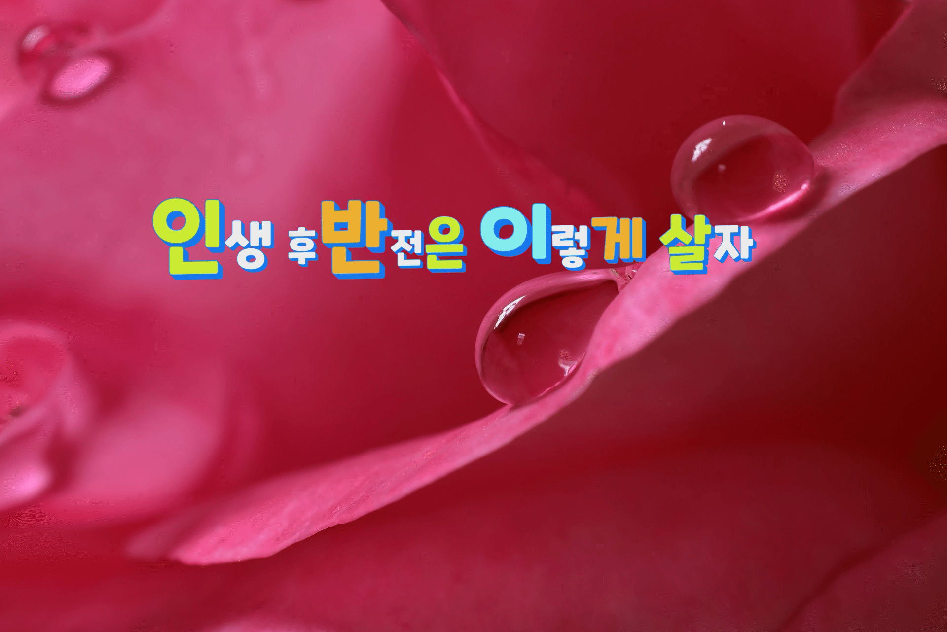  인생 후반전은 이렇게 살자