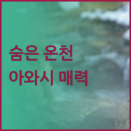 에티오피아 아와시의 도호 로지? 숨겨