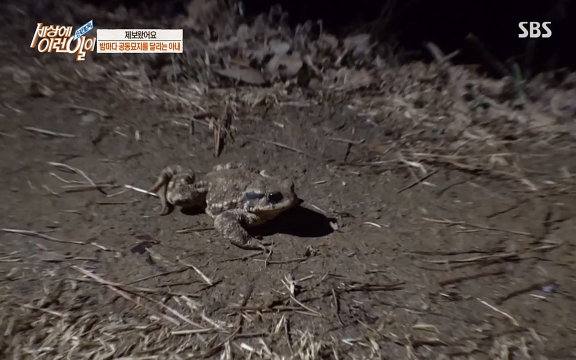 순간포착 세상에 이런일이.E1171.220316p-NEXT.mp4_20220316_184935.541.jpg