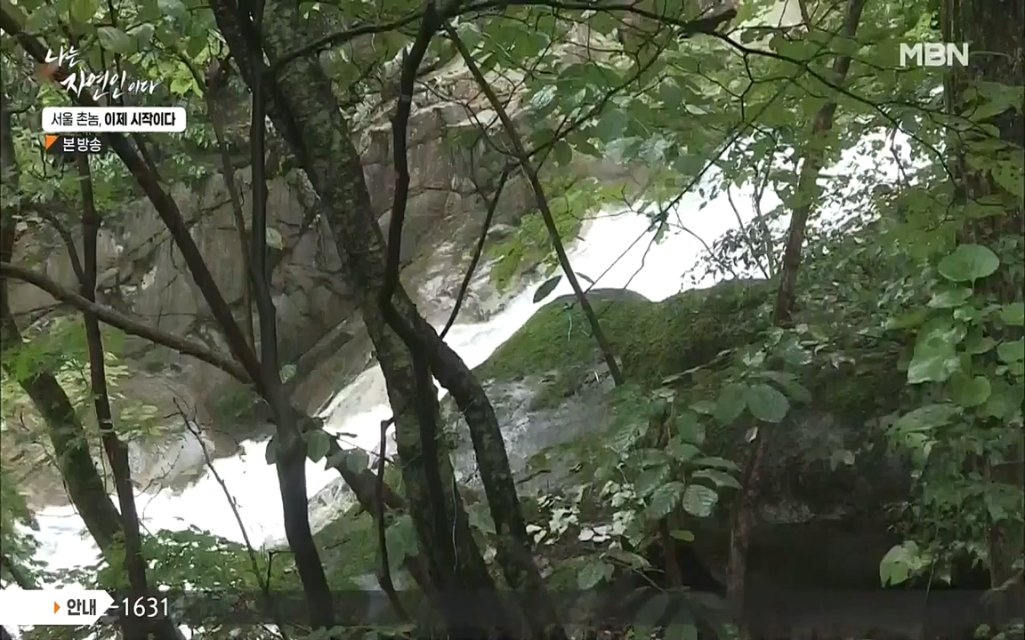 나는 자연인이다.E521.220928.H265p-BULDU.mp4_20220930_210327.937.jpg