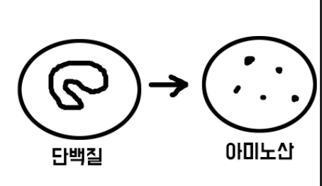 wpi, wph 개념정리 및 선택방법 3