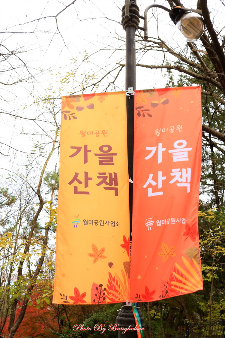  월미산 늦가을 산책 단풍과 낙엽