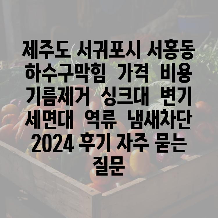 제주도 서귀포시 서홍동 하수구막힘  가격  비용  기름제거  싱크대  변기  세면대  역류  냄새차단  2024 후기 자주 묻는 질문