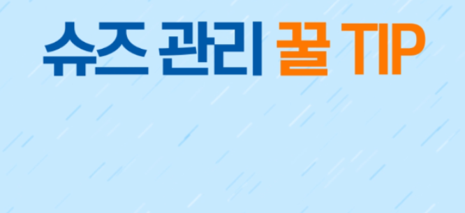  신발 관리 꿀팁 모음!!