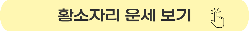 황소자리